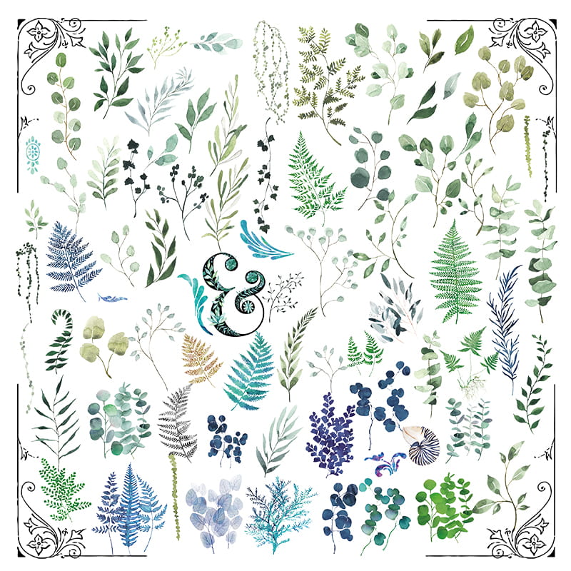 Eucalyptus Scented Sulfuric Acid Paper Sticker